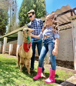 a young girl is petting a sheep with a man at Hostería El Troje Experience in Riobamba