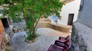 アルカラ・デル・フカルにあるLA CAÑADAの木の横に座る椅子2脚