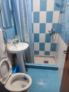 La salle de bains bleue et blanche est pourvue de toilettes et d'un lavabo. dans l'établissement Apartments Blago Sutomore, à Sutomore