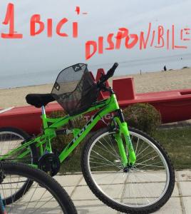 un vélo vert garé à côté d'une plage dans l'établissement TORTORETO LIDO - Vista Mare-appartamento a mt100 dal mare, à Tortoreto Lido