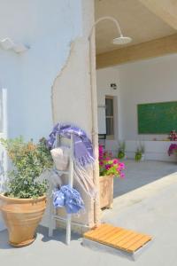 Foto dalla galleria di L'olivier Milos a Plaka Milou