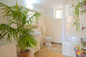 a bathroom with a toilet and a plant in it at L'olivier Milos in Plaka Milou