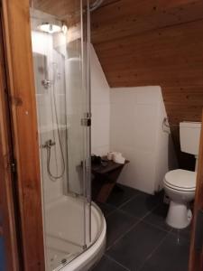 a bathroom with a shower and a toilet at Naab-Wohn in Nabburg