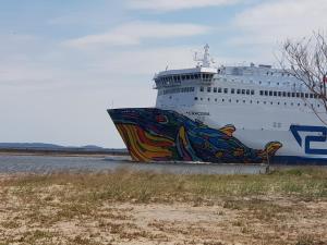 Príroda v okolí apartmánu