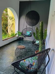 a room with a bench and a cactus at Pousada Casa Recanto da Serra in Petrópolis