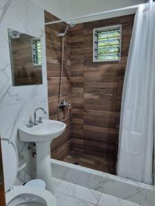 a bathroom with a toilet and a sink and a shower at Mitre 1400 Apartamentos in Monte Grande