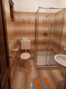 een badkamer met een douche, een toilet en een wastafel bij Oliva in Rab