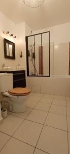 a bathroom with a toilet with a sink and a mirror at T2 Saint-Denis -Jardin de l'Etat in Saint-Denis