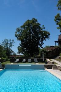 a swimming pool with chairs and a tree at Les Jardins de la Contie in Lunan