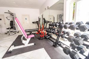 Posilňovňa alebo fitness centrum v ubytovaní Tropical Palmy 3 bedroom Townhouse in Nueva Andalucia close to Puerto Banus