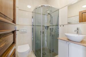 La salle de bains est pourvue d'une douche, de toilettes et d'un lavabo. dans l'établissement Willa Artus, à Władysławowo