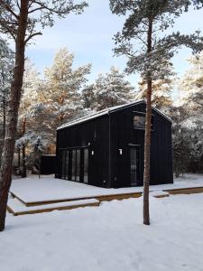 un edificio negro en la nieve con árboles en Forest House, Tiidu, en Nässuma