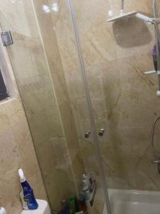 a shower with a glass door in a bathroom at Ground Floor Studio With Garden in Sheikh Zayed