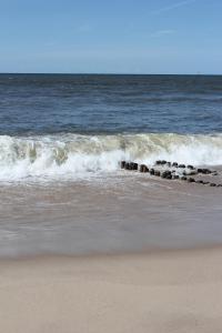 a group of rocks in the water on the beach at Villa WellenRausch - Adults Only in Travemünde