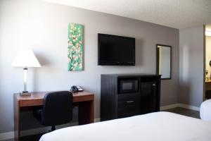 Habitación de hotel con cama, escritorio y TV. en New Victorian Inn - Sioux City, en Sioux City