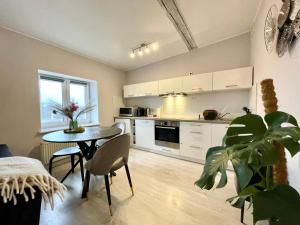Kuchyňa alebo kuchynka v ubytovaní Apartament Helena