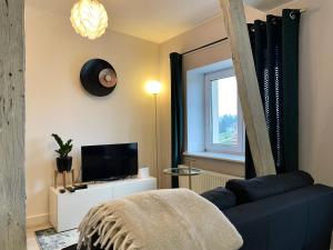 Televízia a/alebo spoločenská miestnosť v ubytovaní Apartament Helena