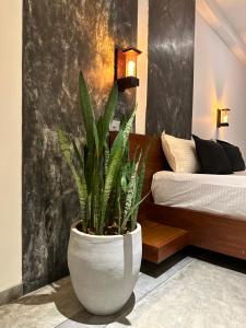a plant in a white pot in a bedroom at Ami Mirissa in Mirissa