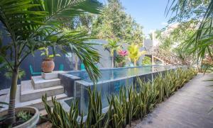 - une piscine dans une cour ornée de plantes dans l'établissement Turquoise Tulum Hotel, à Tulum