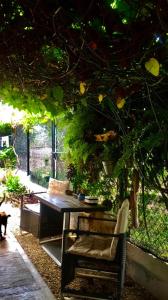 une table et une chaise assises sous un arbre dans l'établissement ECOVILLA CORAL GARDEN, à Baoruco