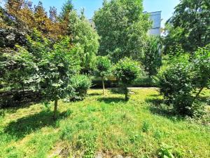 a garden with trees and grass in a field at Cluj Zorilor Residence in Cluj-Napoca