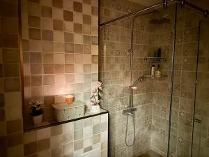 Koupelna v ubytování Zlatanov Residence + 16 fotografií