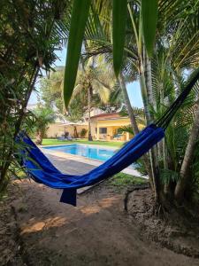 a blue hammock hanging from a palm tree next to a pool at Sompteuse villa avec piscine à 5 min de la plage in Pointe-Noire