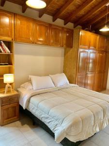 1 dormitorio con 1 cama grande y armarios de madera en Loft privado cerca Parque en Mendoza