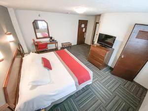 a bedroom with a large bed and a television at Ramada Plaza by Wyndham Leon in León