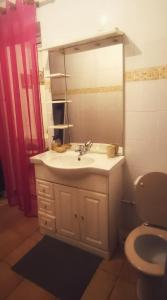 une salle de bain avec un lavabo et un miroir et des toilettes dans l'établissement La KazaDette, à Lamentin