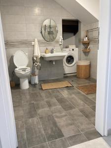 a bathroom with a toilet and a sink and a washing machine at Zax sea view villas in Ierápetra