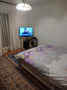 a bedroom with a bed and a flat screen tv at Vojin Meljak in Meljak