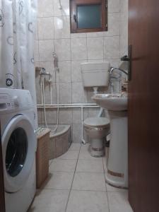 a bathroom with a toilet a sink and a washing machine at Jovanovic in Topola