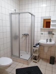 a bathroom with a shower and a toilet and a sink at Zum Feldstein in Themar