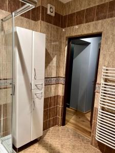 a bathroom with a white refrigerator in a room at Willa Elka in Muszyna +44 photos
