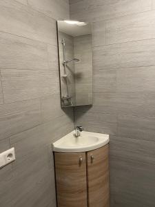 W łazience znajduje się umywalka i lustro. w obiekcie Gastenverblijf bij de Buuren w mieście Dirksland