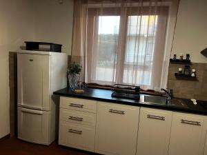 una cucina con frigorifero bianco e lavandino di Villa Gabry a Camaiore