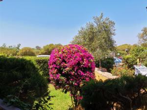 A garden outside Casa di Giò - Bilocale con giardino