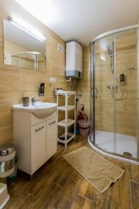 弗雷斯塔帕若德霍斯肯的住宿－利斯奇蒙酒店，一间带水槽和淋浴的浴室