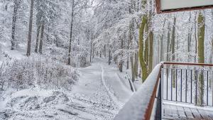 un sendero cubierto de nieve en un bosque con árboles en Apartament 28 z Basenem i SPA - 5D Apartments, en Szklarska Poręba