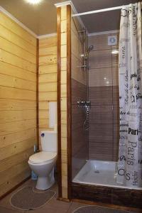 a wooden bathroom with a toilet and a shower at Кольорові подорожі 2 in Slavske
