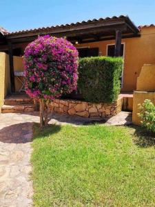 A garden outside Casa di Giò - Bilocale con giardino