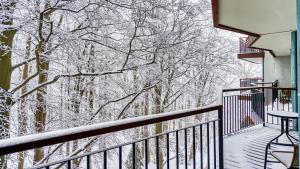 a balcony with snow covered trees in the background at Apartament 47 z Basenem i SPA - 5D Apartments in Szklarska Poręba