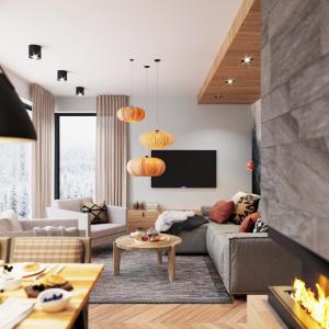 a living room with a couch and a tv at Apartamenty Skrzyczne in Szczyrk