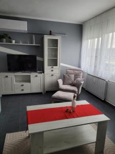 sala de estar con sofá y TV en Krisztina Apartman, en Salgótarján