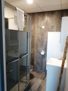 a bathroom with a glass shower and a toilet at 2 appartements au choix centre ville de Souillac entre Sarlat et Rocamadour in Souillac