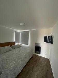 - une chambre avec un lit et une cheminée dans l'établissement Azules 2721, à El Calafate