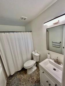 bagno con servizi igienici, lavandino e specchio di Spacious Gainesville Getaway with Pool and large private yard a West Hills