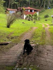 a black dog sitting in the middle of a dirt road at CasaMauá in Visconde De Maua
