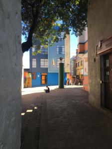 una calle vacía con un árbol y un edificio en Depa Monserrate - Charming Historic Nest with Breathtaking Mountain Views - Apartaestudio, en Bogotá